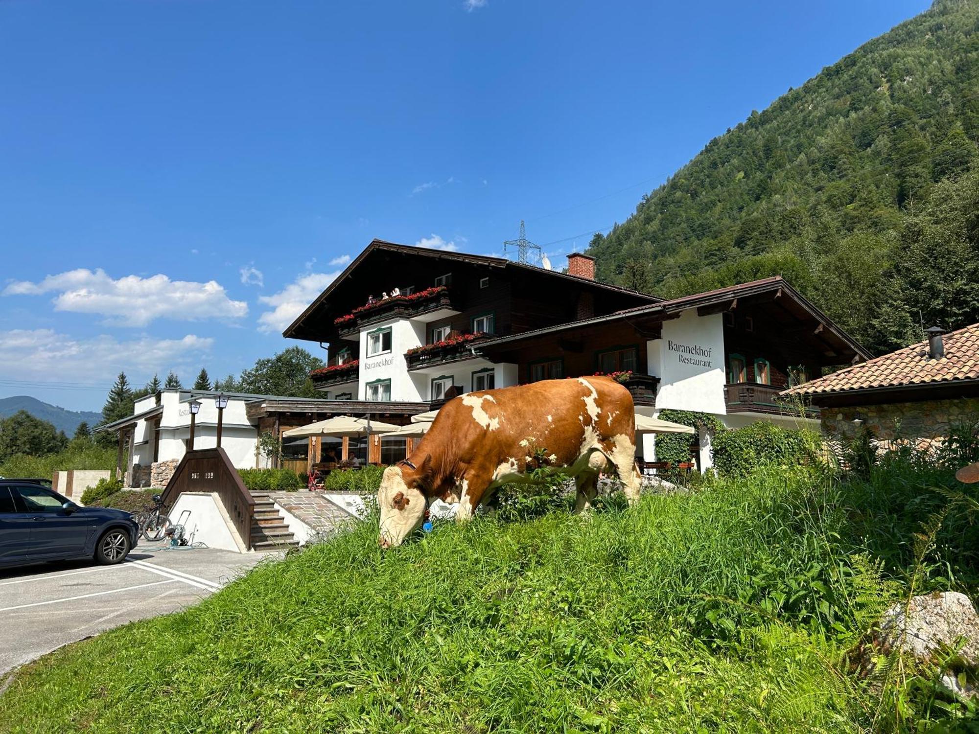 Pension Baranekhof - Accommodation In Nature - Baranek Resorts Kaprun Extérieur photo